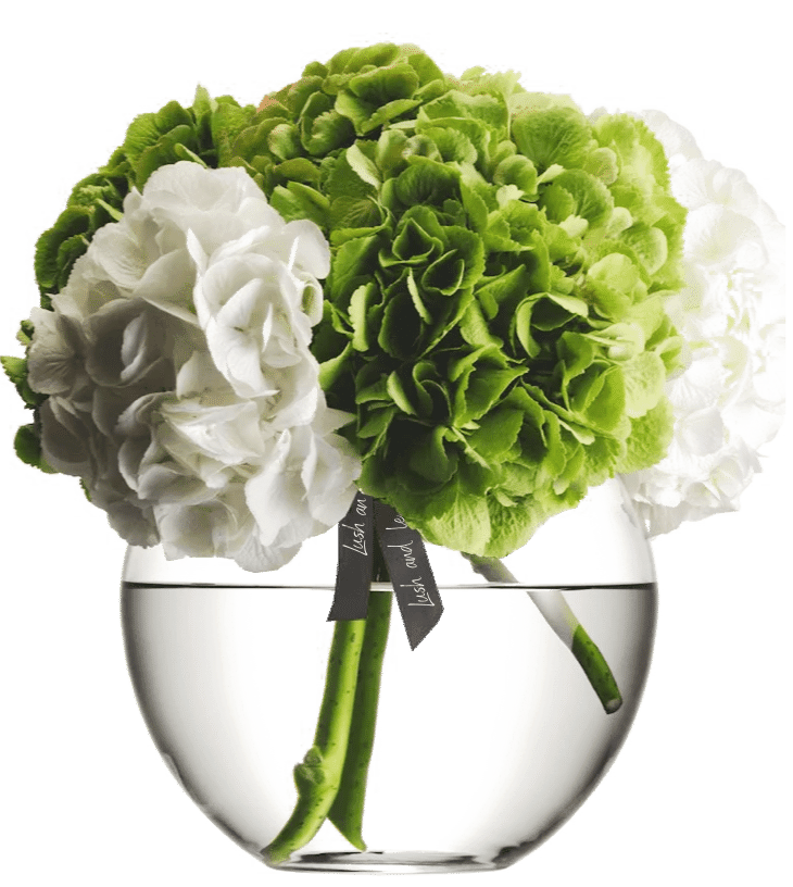 lush and love hydrangea vase