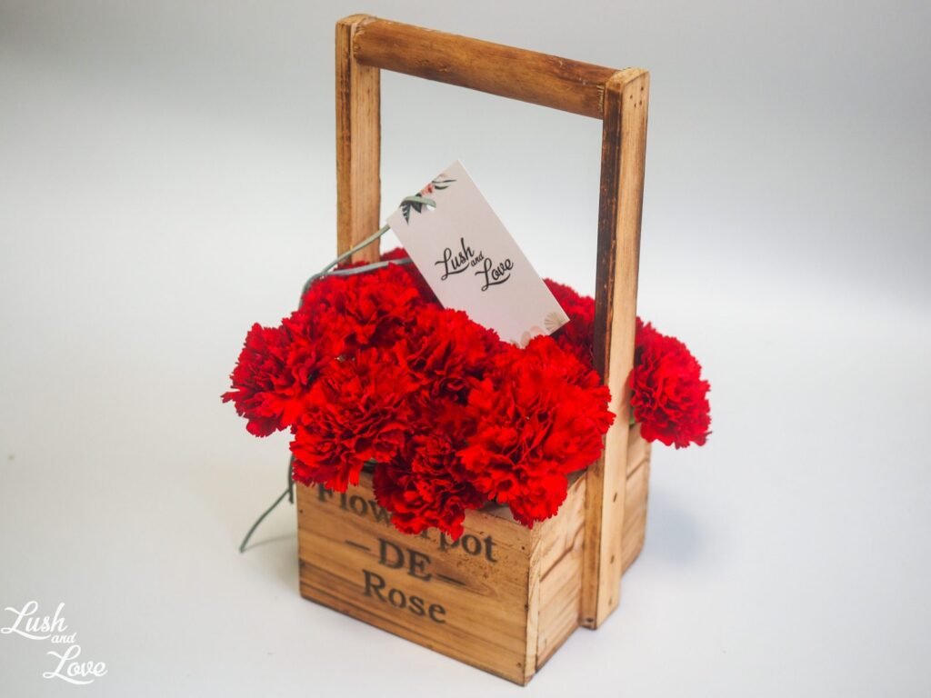 Perla – Red Carnations