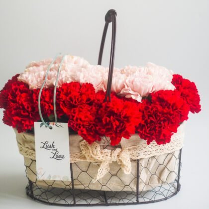 Leighton – Mix Carnations